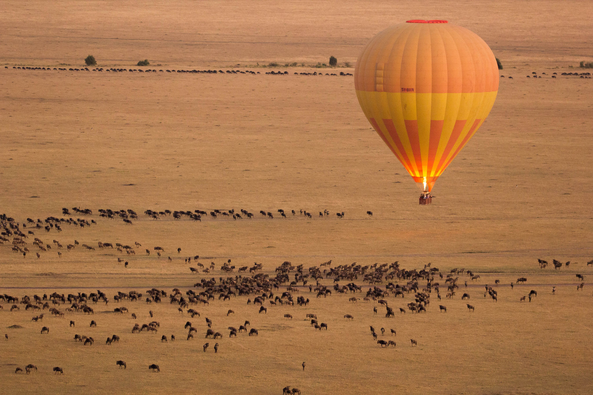 Fly-in Kenya safari transfer from airstrip to 4x4 vehicle