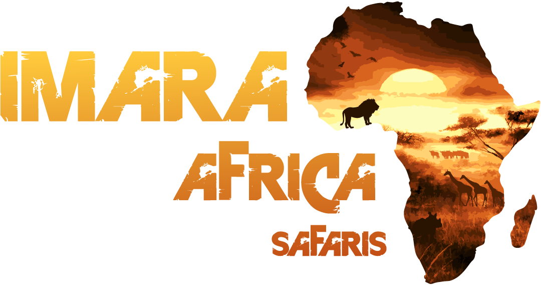 Imara Africa Safaris