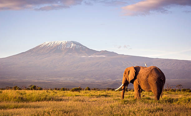 Amboseli National Park